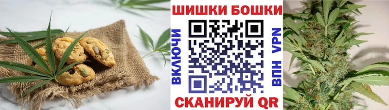 Canna-Cookies марихуана  цены наркотик  Судогда 