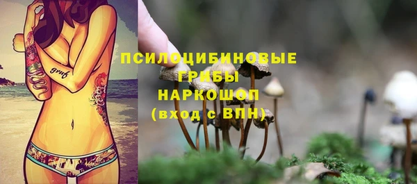 ПСИЛОЦИБИНОВЫЕ ГРИБЫ Новокубанск