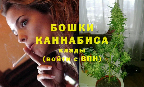 сатива Аркадак