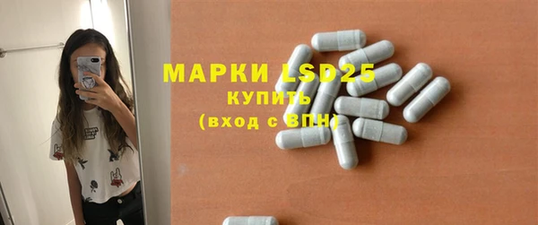 сатива Аркадак