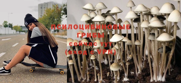 сатива Аркадак