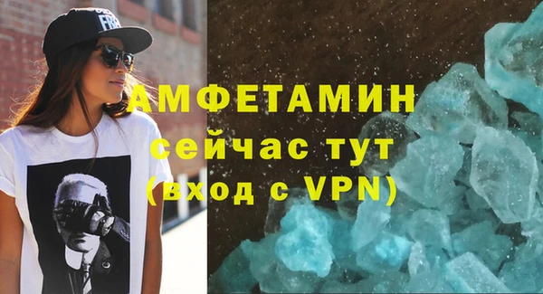 сатива Аркадак