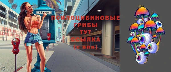 сатива Аркадак