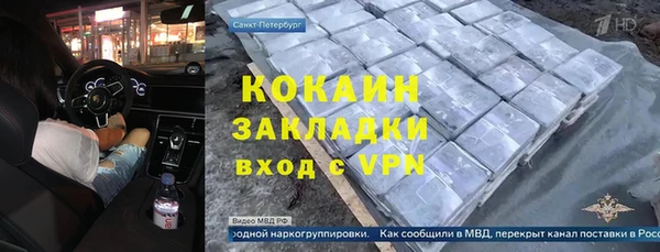 сатива Аркадак