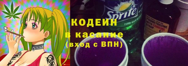 сатива Аркадак
