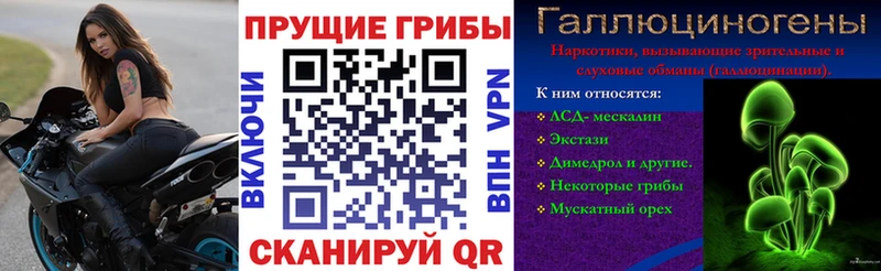 Галлюциногенные грибы GOLDEN TEACHER Судогда