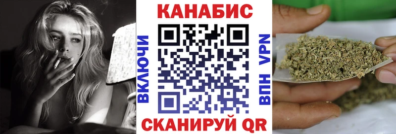 Конопля гибрид  Судогда 